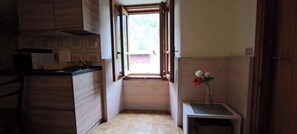 Fridge, microwave, stovetop, cookware/dishes/utensils - GRAYNITE - PARK SIDE Apartment (Lombardia)