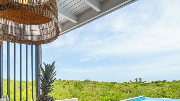 A dining table with a fruit bowl, a fruit platter, and drinks, overlooking a pool and lush greenery.