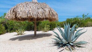 A thatched umbrella structure surrounded by agave plants on a gravel surface.