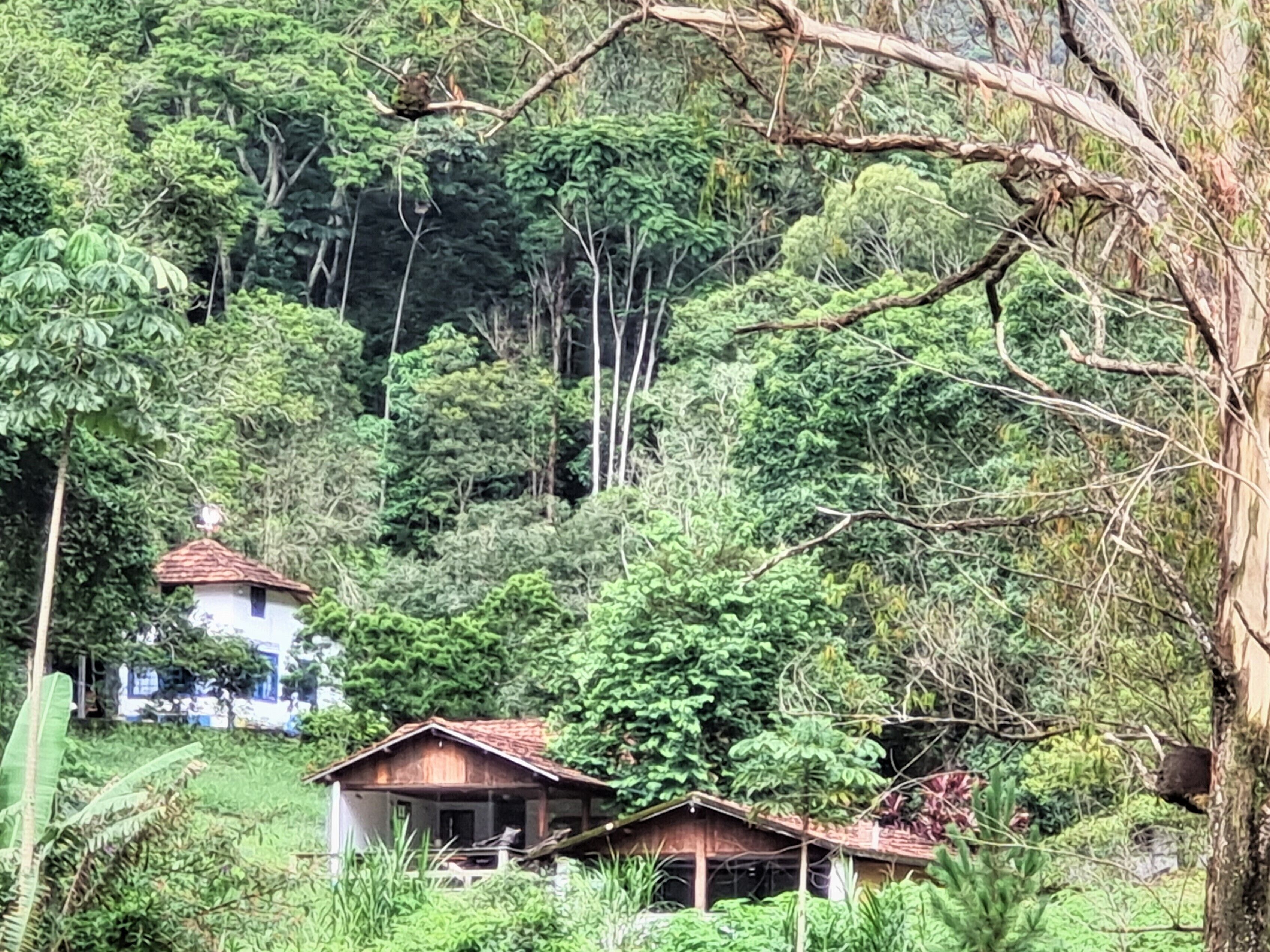 Ecological paradise on a farm 100km from Rio in the middle of the Atlantic Forest reserves