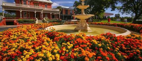 Overnattingsstedets uteområder