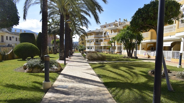 Un sendero bordeado de palmeras y césped cuidado, que lleva a un edificio amarillo con balcones.