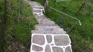 A stone staircase surrounded by greenery. - Summer Sunrice Andros (Andros)