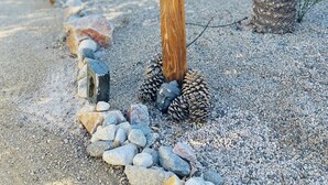 A wooden sign with a cactus and pinecone decoration, surrounded by rocks and cacti in a garden setting. - An Entire Private Studio Suite to Yourself! (Palm Desert)