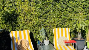 Two striped lounge chairs with cushions, a small table with decorative items, and potted plants. - An Entire Private Studio Suite to Yourself! (Palm Desert)
