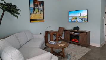 Smart TV, fireplace, books