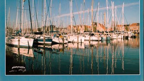 Un port de plaisance où sont amarrés de nombreux voiliers.