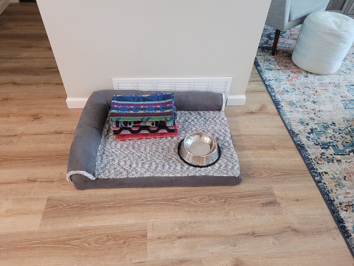 A pet bed with a blanket and a metal bowl on a carpeted area.