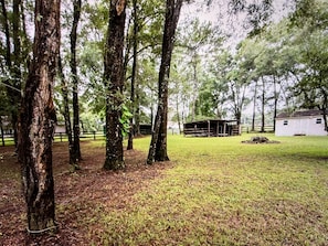 Property grounds - Serene, Spacious 3 Bedroom Pool Home 7 min from WEC! (Ocala)
