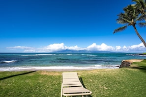 A beach with a lounge chair, ocean view, and a palm tree.