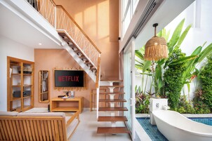 Televisión LED, Netflix, servicios de streaming