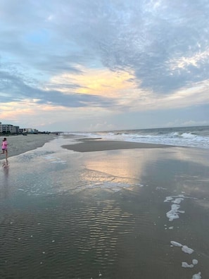 Beach nearby - Two summer weeks still available! (Pawleys Island)