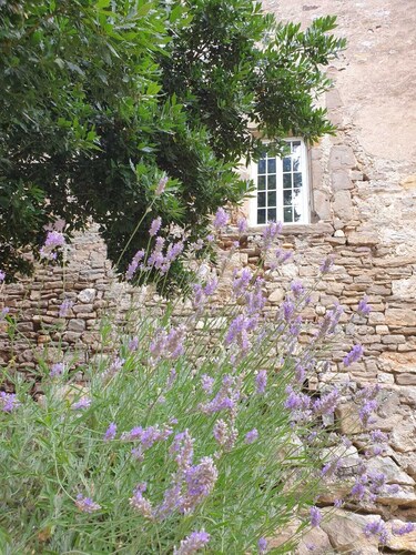 XIth century castle