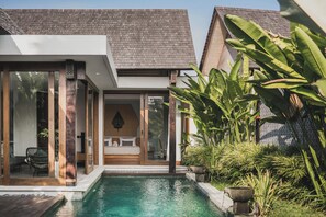 Une maison moderne dotée d’une piscine, de grandes fenêtres et de plantes tropicales.