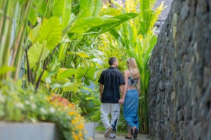 Una pareja caminando por un sendero estrecho rodeado de abundante vegetación y un muro de piedra.