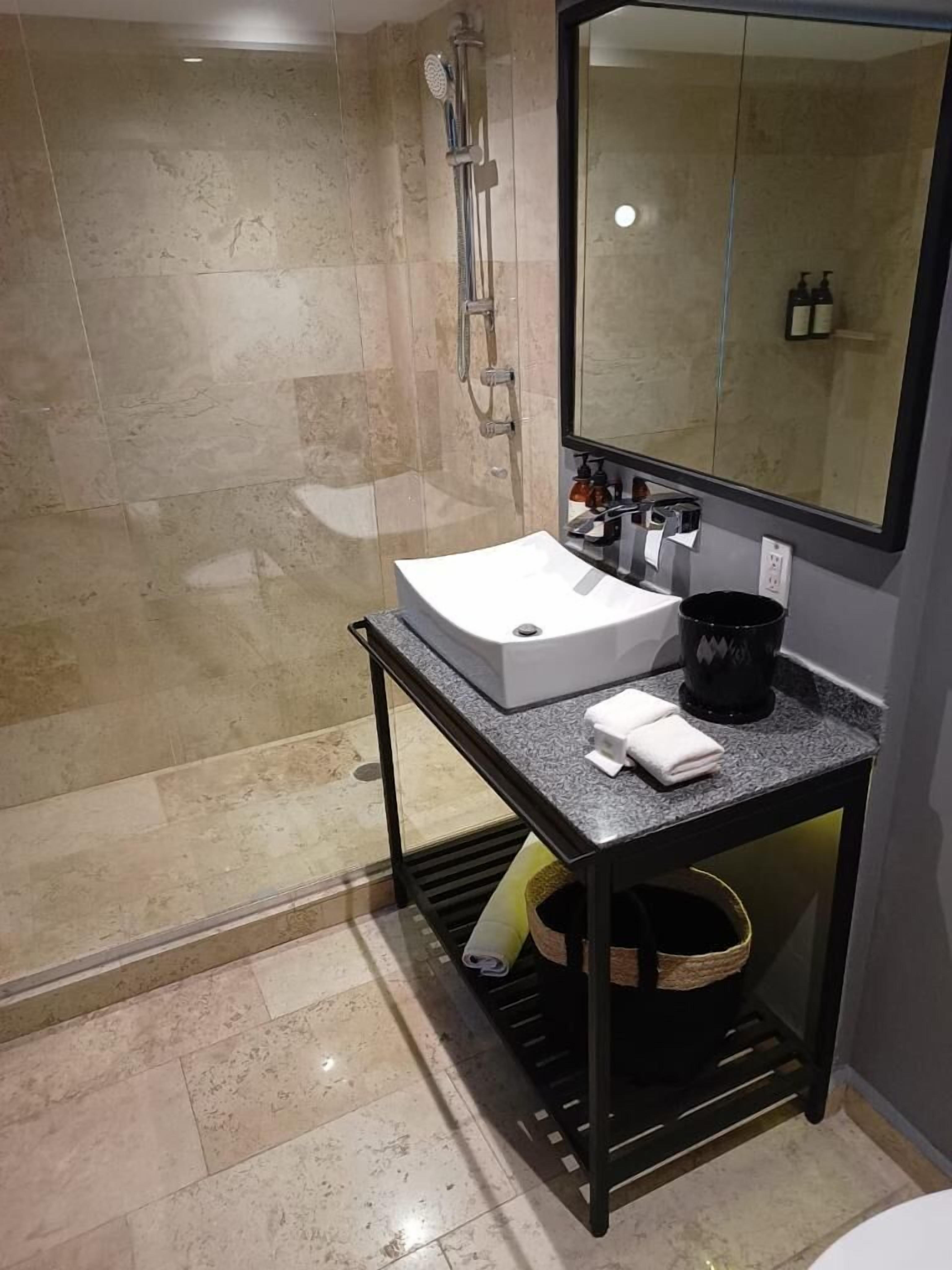 interior view suite | bathroom | shower, rainfall showerhead, hair dryer, bathrobes