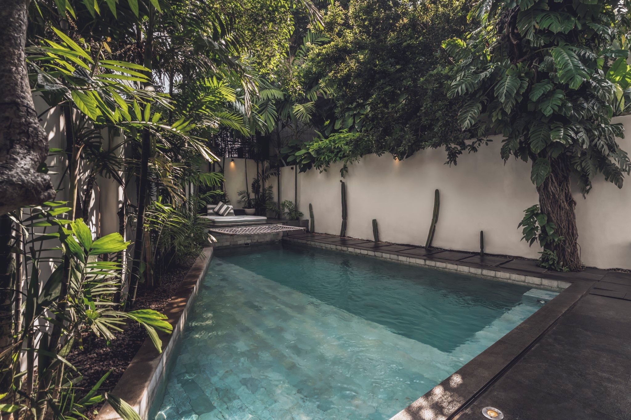 Piscina retangular com superfície de água azul cristalina, rodeada por vegetação exuberante e uma parede branca.