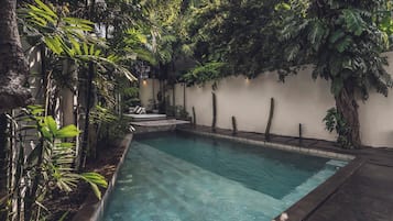 Piscina retangular com superfície de água azul cristalina, rodeada por vegetação exuberante e uma parede branca.