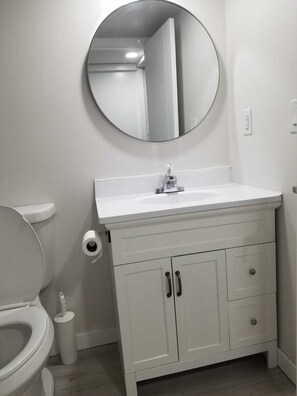Combined shower/bathtub, hair dryer, towels, soap - Clean 2 bedroom Apartment 10 minutes from Airport (Edmonton)