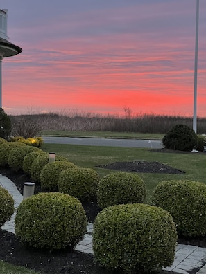 Stroll through the beautifully manicured lawn and paved pathway, surrounded by lush greenery.