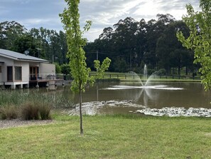 Property grounds - Two bedroom villa on rural setting (Mittagong)