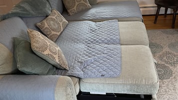 智能电视、壁炉、电子游戏、DVD 播放器