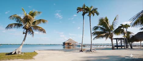 On the beach, sun-loungers, beach towels