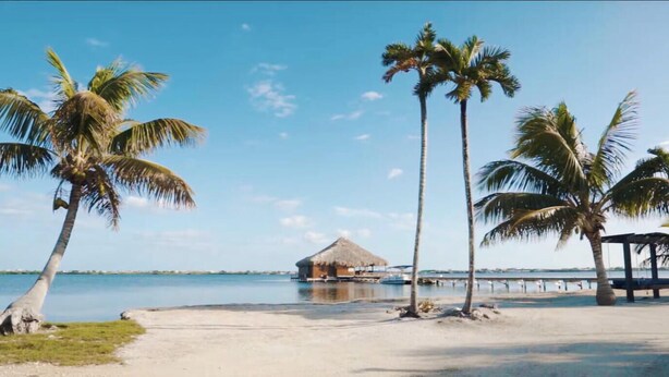 Ein Strand mit Palmen, einer strohgedeckten Hütte und wolkenlosem, blauem Himmel.