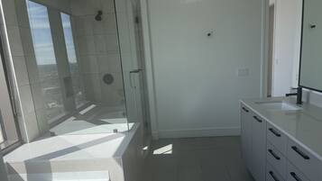 Combined shower/tub, hair dryer, towels