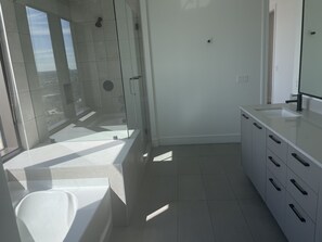 Combined shower/tub, hair dryer, towels