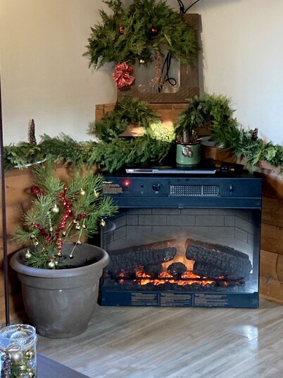 Tiny house Free wood, pet-friendly Mins from Cook’s & Allegheny National Forest!