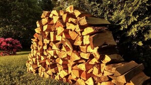 A stack of firewood outdoors. - Tiny Cabin, pet-friendly Mins from Cook Forest & Allegheny National Forest! (Marienville)