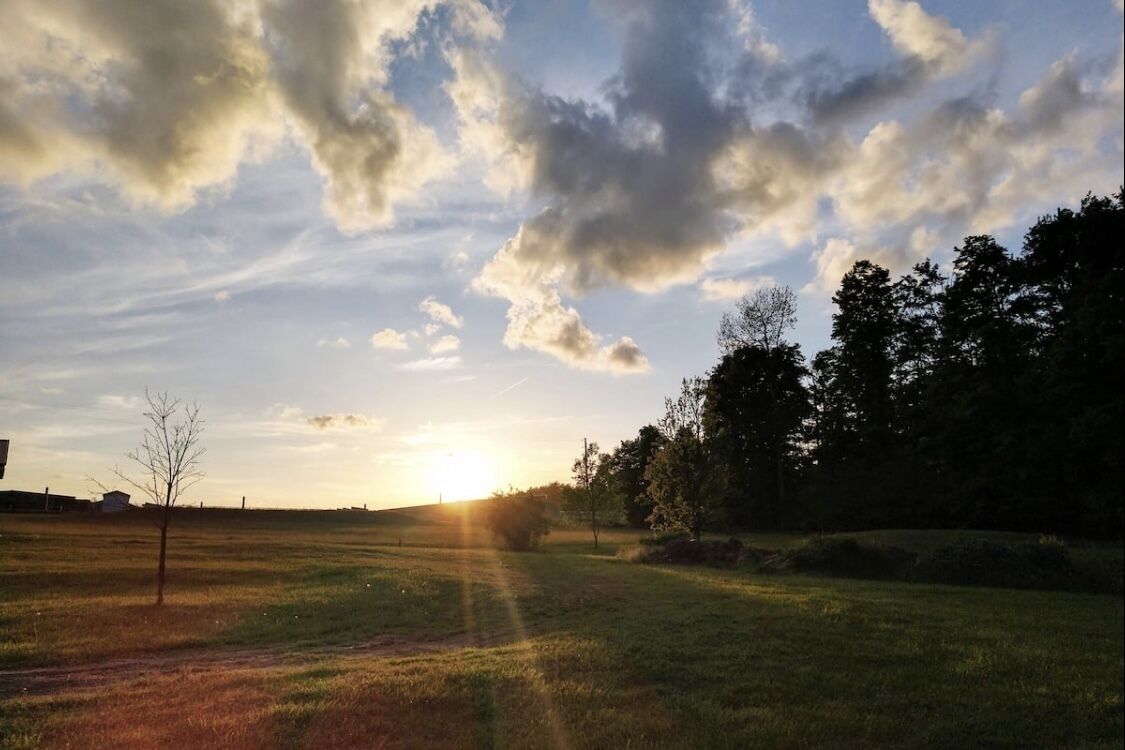 En gräsbevuxen åker med en solnedgång i bakgrunden och träd på höger sida.