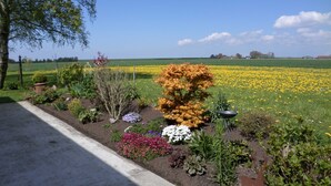 Ein Garten mit verschiedenen Pflanzen und Blumen, ein Baum und ein Feld voller gelber Blüten im Hintergrund.