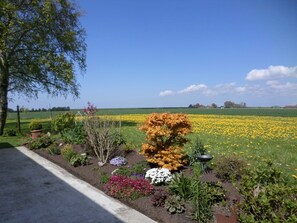 Um jardim com diversas plantas e flores, uma árvore e um campo de flores amarelas ao fundo.