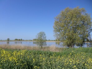 Imagen sin descripción, 5 de 25, botón