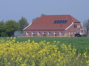 Udendørsområde