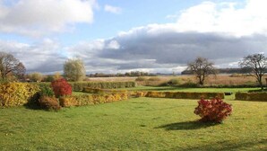 A rural landscape with a grassy field, hedges, and trees.