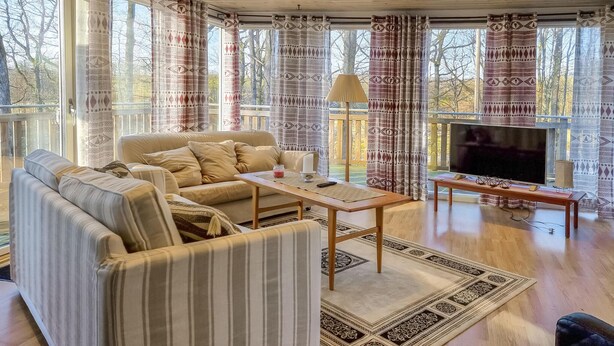 Un salon confortable avec un canapé, une table basse et un téléviseur.