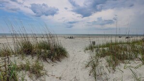 A beach with sand dunes and sparse vegetation.