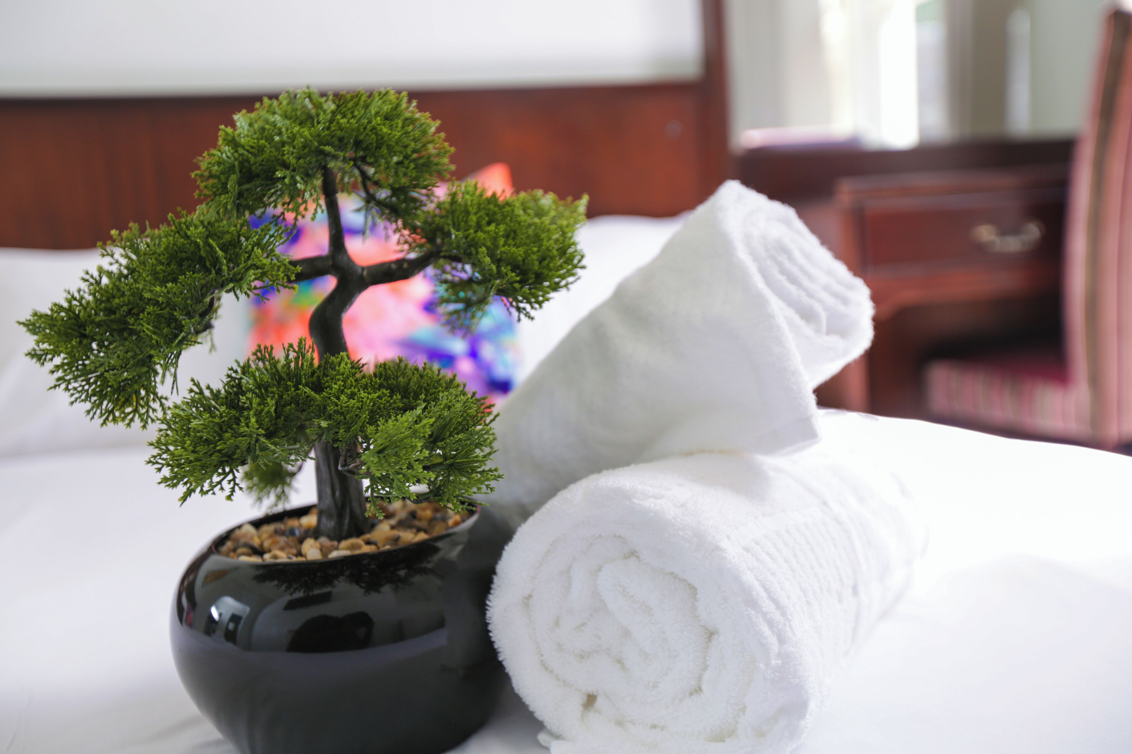 A neatly made bed with a small potted bonsai tree and a rolled white towel.