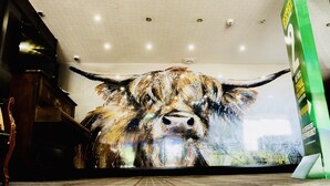 Una habitación con un gran mural texturizado de un toro, luces empotradas en el techo y un letrero verde direccional.