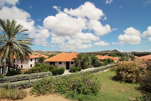 Stroll through a tranquil neighborhood surrounded by lush greenery and picturesque views of the distant mountains.