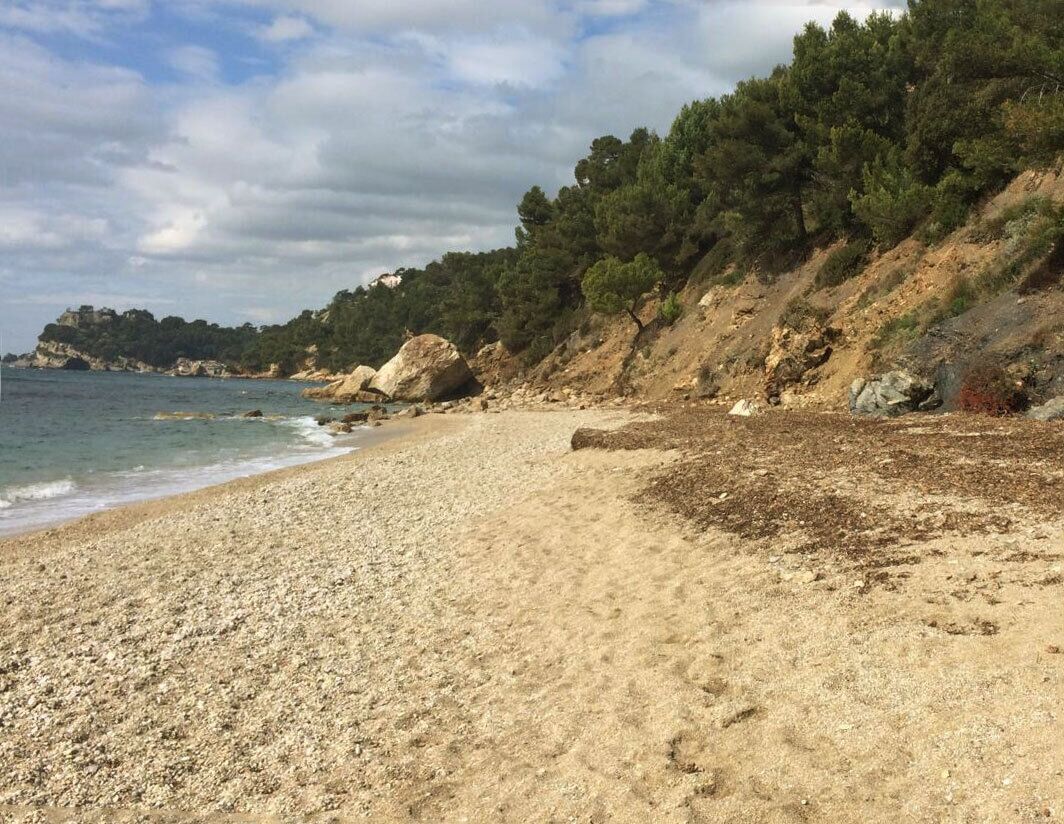 Una platja de cantons amb un penya-segat rocos i arbres densos al fons.