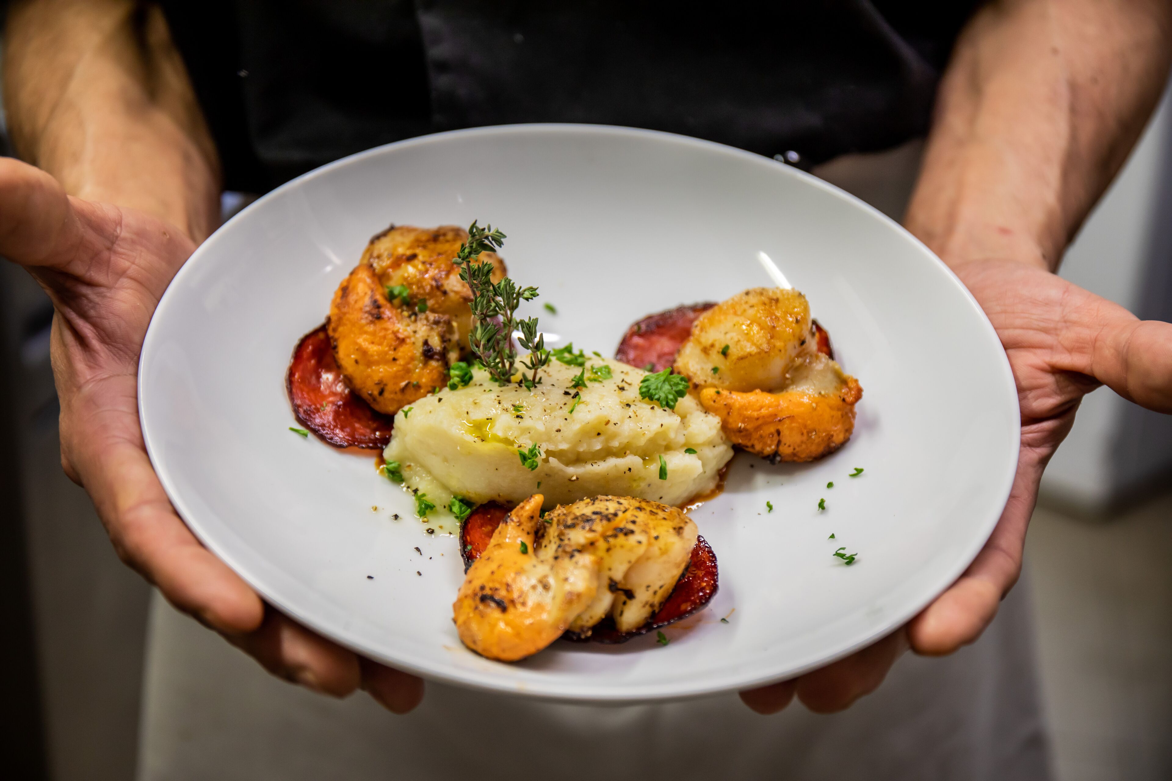 A person holding a plate with food items including mashed potatoes, scallops, and a piece of meat.
