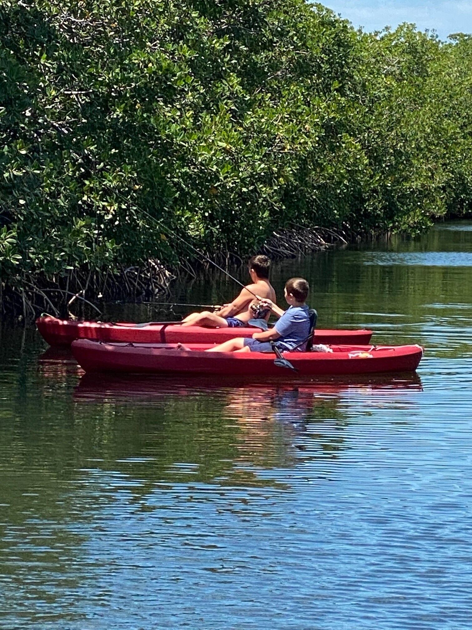 Un canoë rouge sur une étendue d’eau calme, avec un feuillage dense de mangroves en arrière-plan.