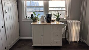 A kitchen with a window, a coffee maker, a potted plant, and a radiator. - Historic Condo in Downtown Fargo (Fargo)