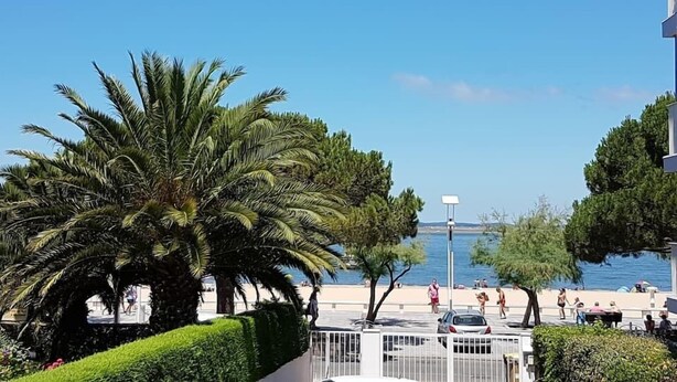 Küstensicht mit Palmen, Strand und blauem Himmel.