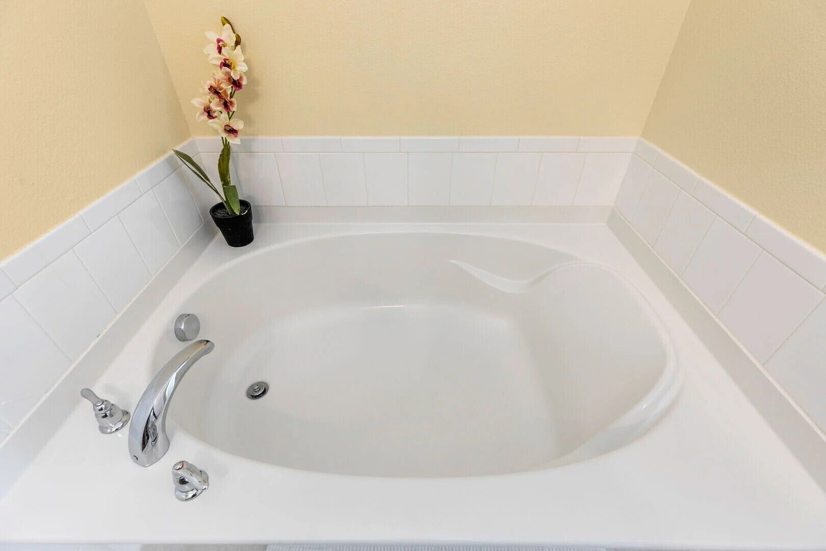A white bathtub with a chrome faucet and a small potted orchid.