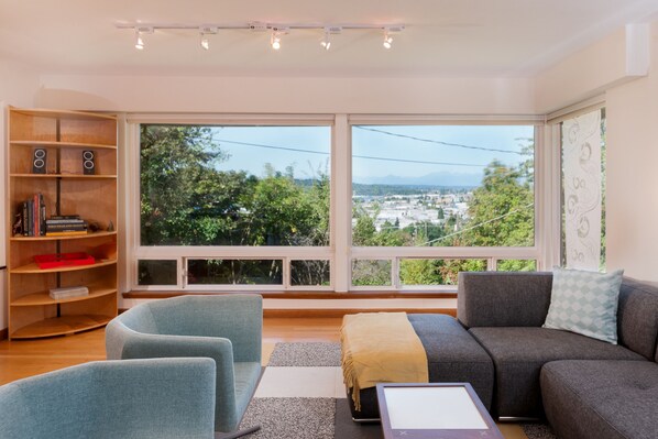 Televisión, chimenea y libros 